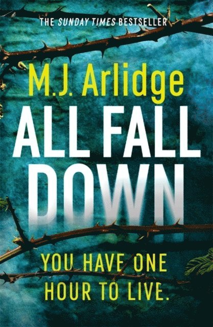 M. J. Arlidge - All Fall Down, Häftad