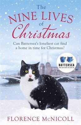The Nine Lives of Christmas: Can Battersea's Felicia find a home in time for the holidays? 1
