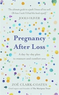 bokomslag Pregnancy After Loss