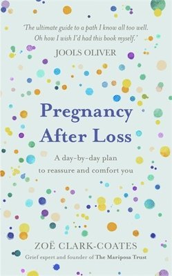 bokomslag Pregnancy After Loss
