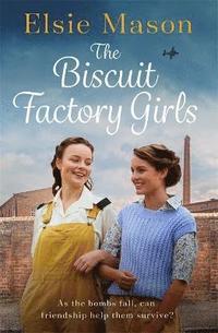 bokomslag The Biscuit Factory Girls