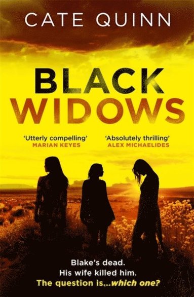 Cate Quinn - Black Widows, Häftad