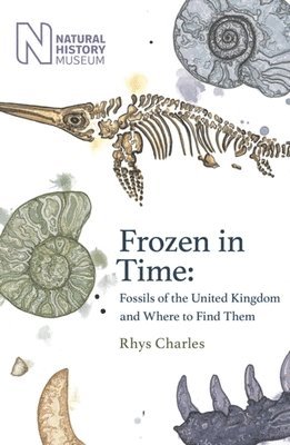 Frozen in Time 1