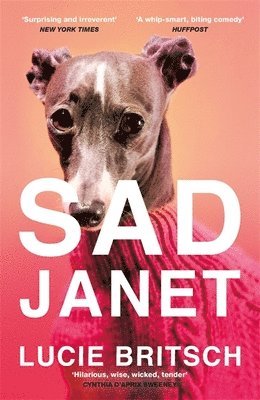 bokomslag Sad Janet