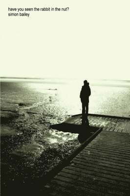 Simon Bailey - Have You Seen the Rabbit in the Nut?, Häftad