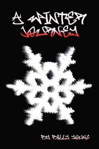 bokomslag Winter Journey