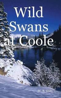 bokomslag Wild Swans at Coole