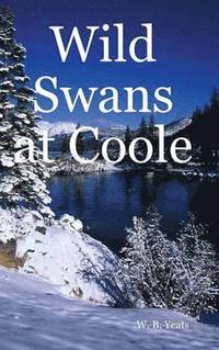 bokomslag Wild Swans at Coole
