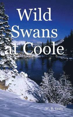 Wild Swans at Coole 1