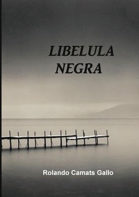 Liblula Negra 1