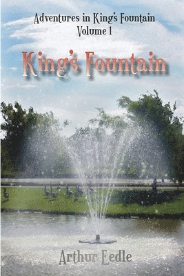 bokomslag King's Fountain