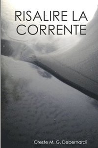 bokomslag Risalire La Corrente