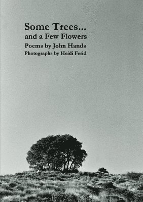 Some Trees... and a Few Flowers