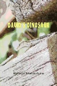 bokomslag David's Dinosaur