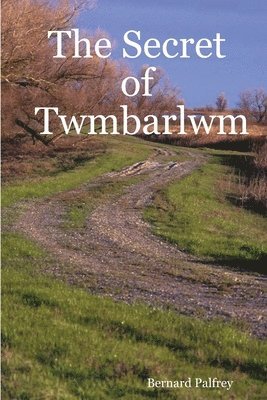 Bernard Palfrey - Secret of Twmbarlwm, Häftad
