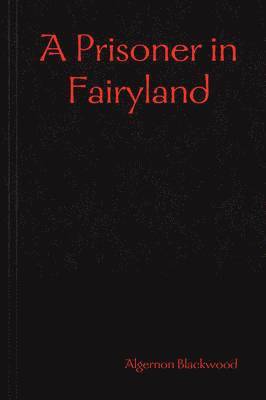 bokomslag Prisoner in Fairyland
