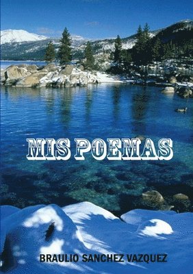 BRAULIO SANCHEZ VAZQUEZ, Braulio Sanchez Vazquez - Mis Poemas, Häftad