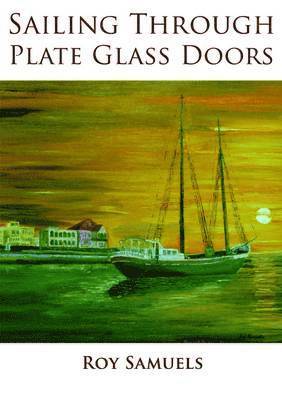 Sailing Through Plate Glass Doors 1