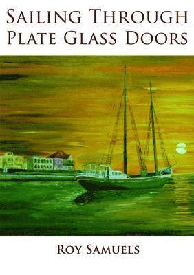 Sailing Through Plate Glass Doors