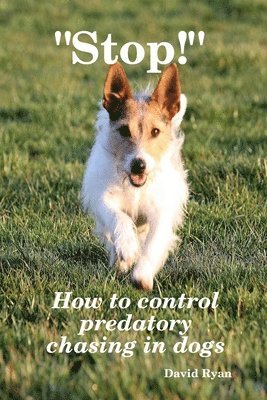 &quot;Stop!&quot; How to control predatory chasing in dogs 1