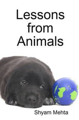 Lessons from Animals 1