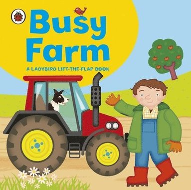 bokomslag Ladybird lift-the-flap book: Busy Farm
