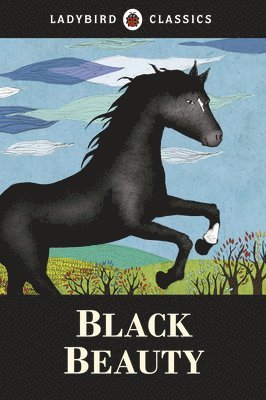 bokomslag Ladybird Classics: Black Beauty