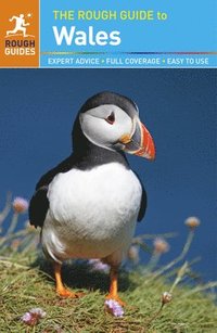 bokomslag Wales - Rough Guide 