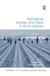 bokomslag Reshaping Gender and Class in Rural Spaces