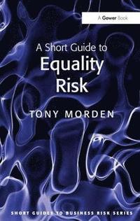 bokomslag A Short Guide to Equality Risk
