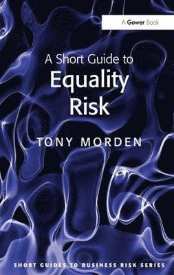 A Short Guide to Equality Risk 1