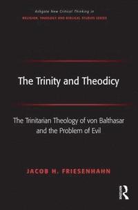 bokomslag The Trinity and Theodicy