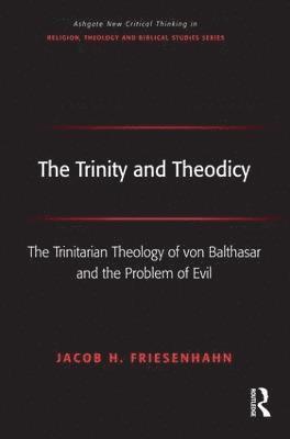 bokomslag The Trinity and Theodicy