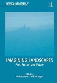 bokomslag Imagining Landscapes