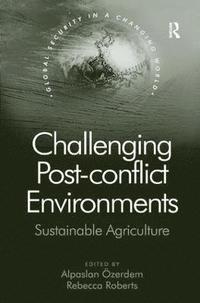 bokomslag Challenging Post-conflict Environments