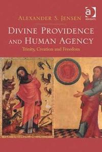 bokomslag Divine Providence and Human Agency