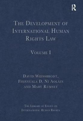 bokomslag The Development of International Human Rights Law