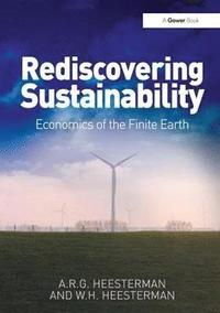 bokomslag Rediscovering Sustainability