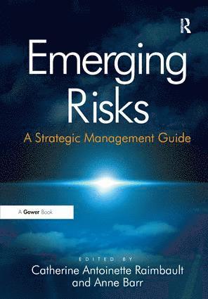 bokomslag Emerging Risks