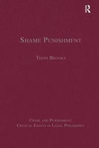 bokomslag Shame Punishment
