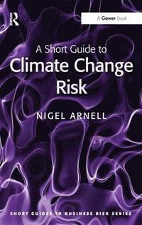 bokomslag A Short Guide to Climate Change Risk