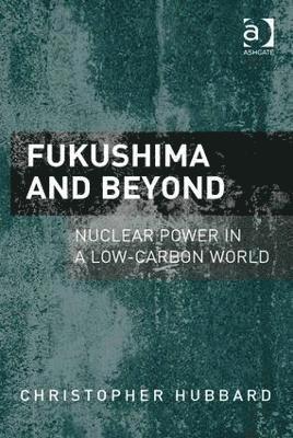 bokomslag Fukushima and Beyond