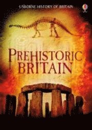 bokomslag Prehistoric Britain
