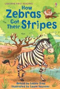 bokomslag How Zebras Got Their Stripes