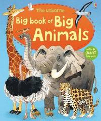 bokomslag Big Book of Big Animals