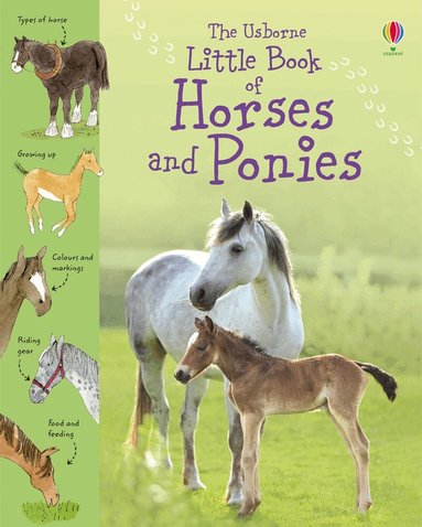 Sarah Khan - Little Book of Horses and Ponies, Inbunden