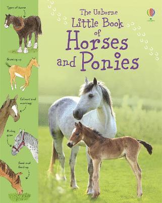 bokomslag Little Book of Horses and Ponies