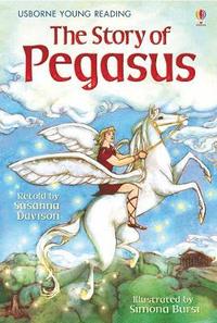 bokomslag Story of Pegasus