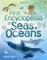 Ben Denne, Felicity Brooks - First Encyclopedia of Seas and Oceans, Inbunden