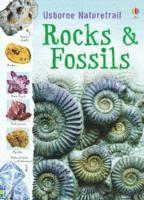 bokomslag Rocks and Fossils